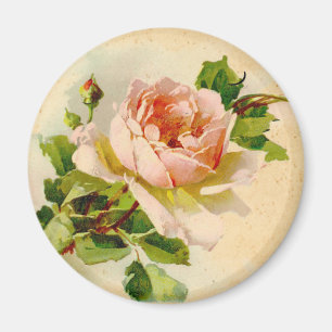 Imán Rosa rosa victoriano