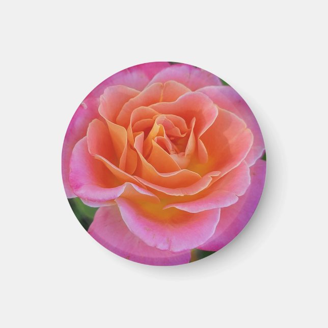 Imán Rosa rosa y Naranja (Frente)