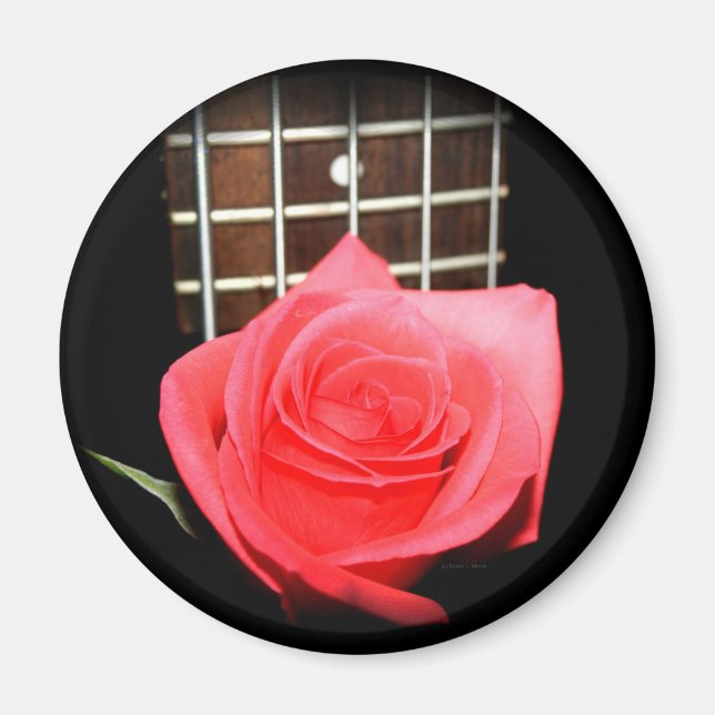 Imán rosa rosado rojo contra la placa fret de cinco cue (Frente)