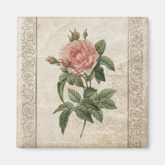 Imán rosa rosado vintage
