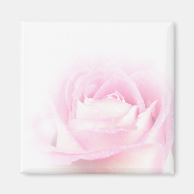 Imán rosa suave (Frente)