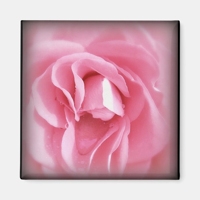 Imán Rosa visto (Frente)