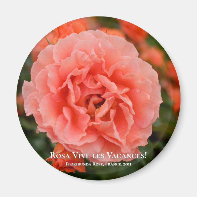 Imán ¡Rosa Vive les Vacances! マ グ ネ ト (Frente)