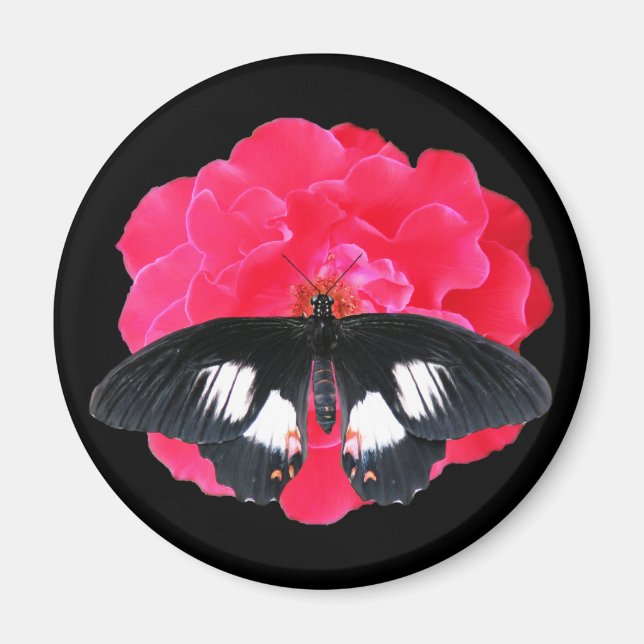 Imán Rosa y cola de inflexión (Frente)