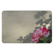 Rosa y sombra vanguardista