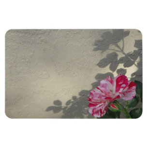 Imán Rosa y sombra vanguardista
