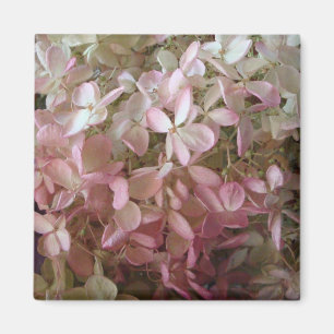 Imán rosado bonito del Hydrangea