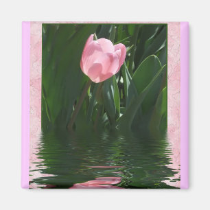 Imán rosado bonito del tulipán
