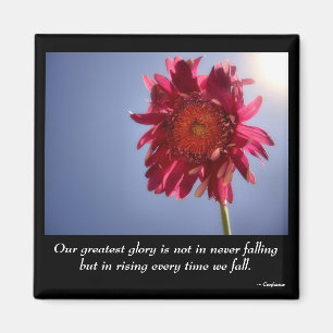 Imán rosado de la gloria de la flor