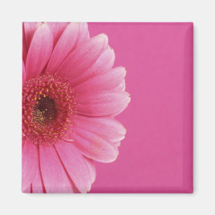 Imán rosado de la pasión