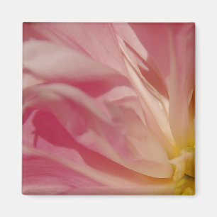 Imán rosado de la sombra
