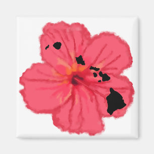 Imán rosado de las islas del hibisco w Hawn