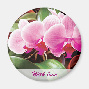 Imán rosado de las orquídeas