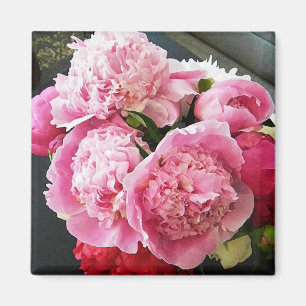 Imán rosado del Peony de los CF