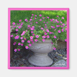 Imán rosado del plantador