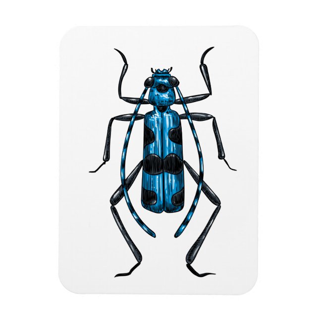 Imán Rosalia Alpina beetle (Vertical)