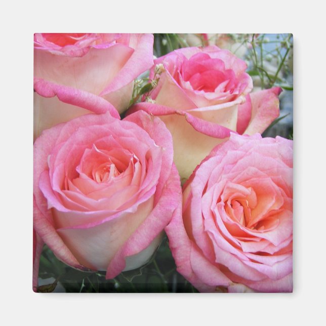 Imán Rosas (Frente)