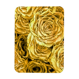 Imán Rosas Amarillas