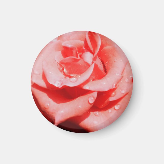 Imán Rosas Antiguas (Frente)