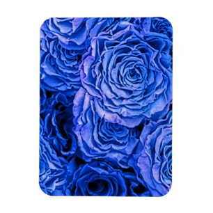 Imán Rosas azules