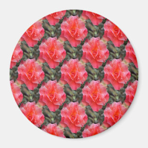 Imán Rosas de amor........