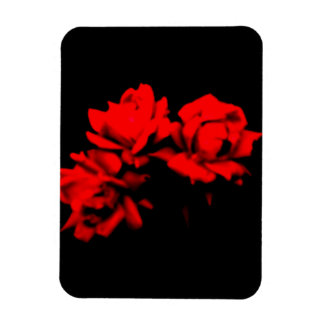 Imán Rosas de sangre en la oscuridad