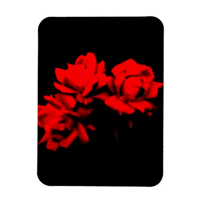 Imán Rosas de sangre en la oscuridad (Vertical)