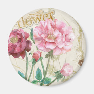 Imán Rosas del país y franja rosados del oro