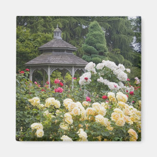 Imán Rosas en flor y Gazebo Rose Garden en el