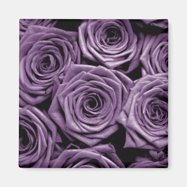 Imán Rosas morados (Frente)