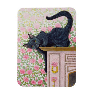 Imán Rosas que suben