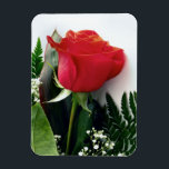 Imán Rosas rojas<br><div class="desc">Personalice este diseño agregando su nombre o texto</div>