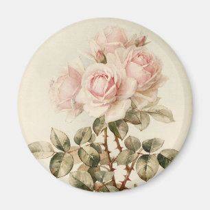 Imán Rosas románticos del Victorian del vintage