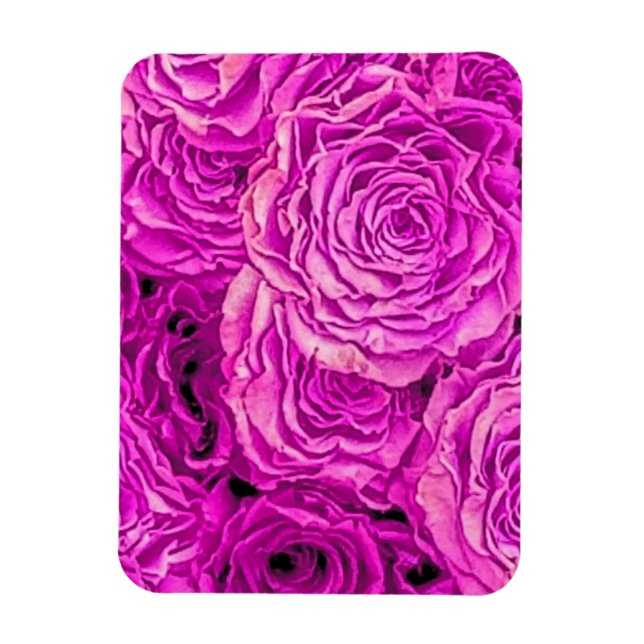 Imán Rosas rosa brillantes (Vertical)
