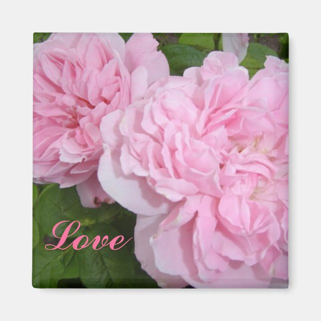 Imán Rosas Rosadas (Frente)