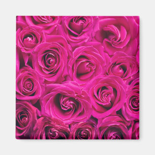 Imán Rosas rosas rosas (amor y romance)