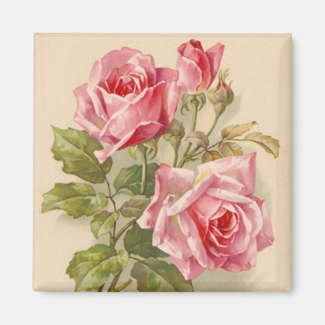 Imán Rosas rosas rosas antiguas (Frente)
