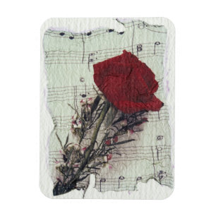 Imán <Rose and Music> por Kim Koza 2
