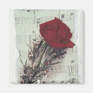 Imán <Rose and Music> por Kim Koza 2