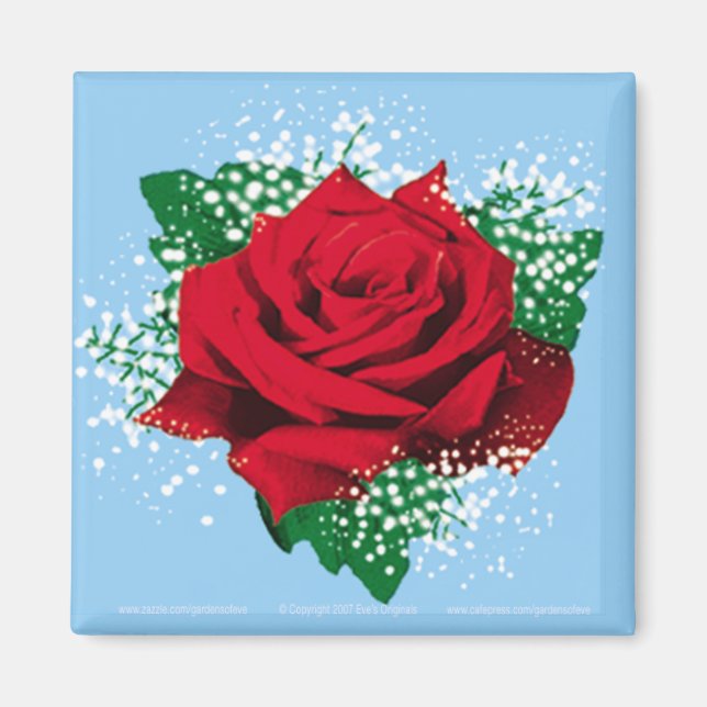 Imán ROSE Sq Magnet (Frente)