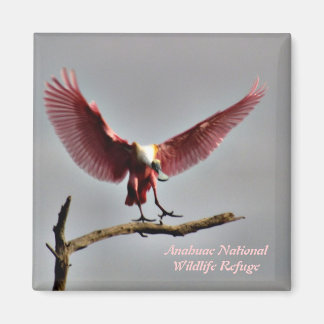 Imán Roseate Spoonbill Magnet