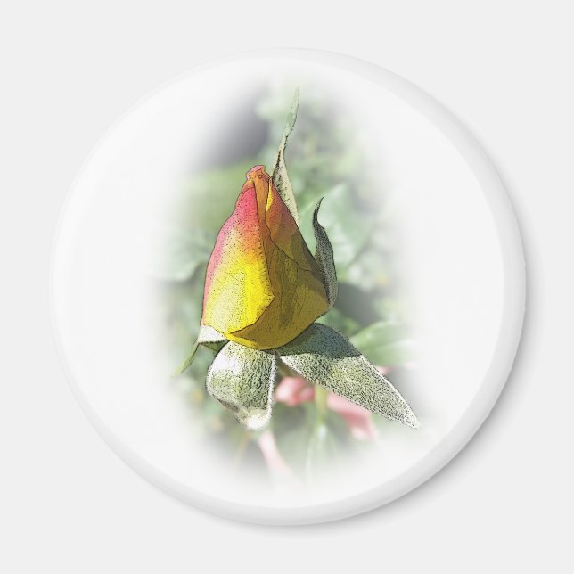 Imán rosebudo rosa amarillo (Frente)