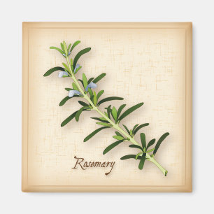 Imán Rosemary Herb