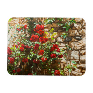 Imán Roses rojos contra un muro de piedra