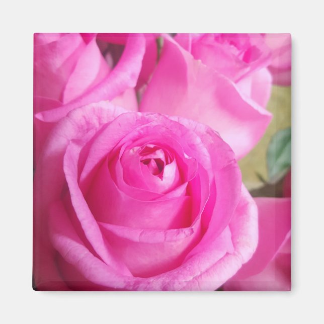 Imán Roses rosadas vibrantes (Frente)