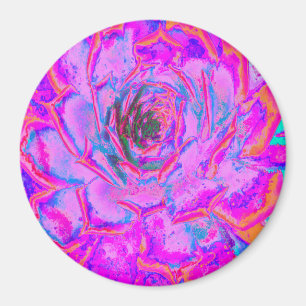 Imán Rosette de sedum con sabor morado y magenta