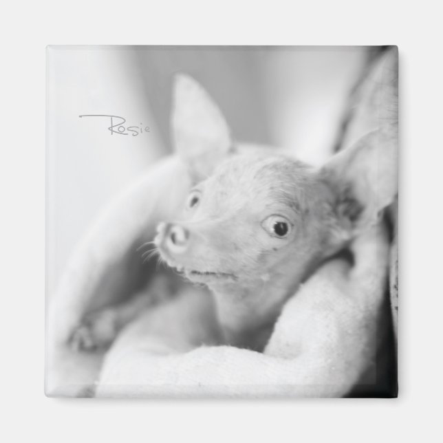 Imán Rosie Photo Magnet (Frente)