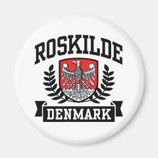 Imán Roskilde Dinamarca
