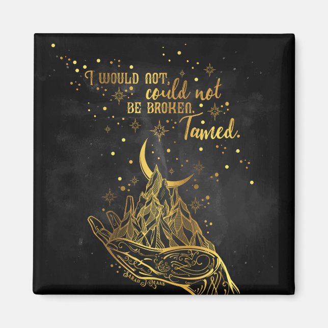 Imán roto, tamizado (Frente)