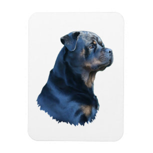 Imán Rottweiler